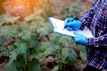 Person standing near plants holding clipboard.